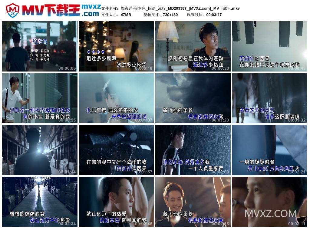 梁海洋-狼本色_国语_流行_MD203387